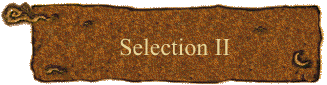 Selection II