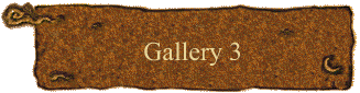 Gallery 3