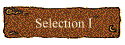 Selection I